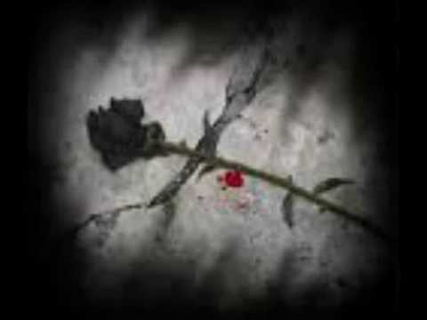 A-trai - Etwas Besonderes