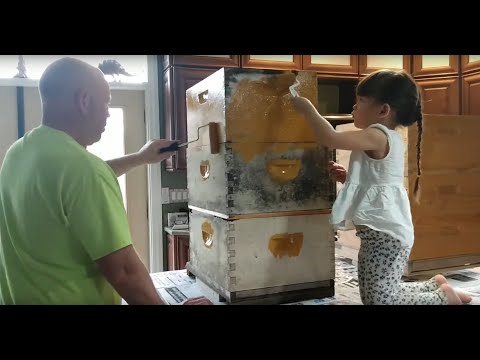 Painting and Decorating Old and New Bee Hives