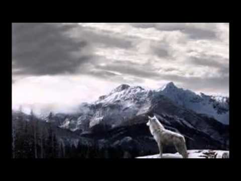 05 Meer dan overwinnaars over de zonde.  Dov Avnon.  14-05-2006