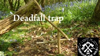 Figure 4 Deadfall trap for survival