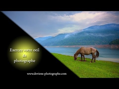 pourquoi la photo
