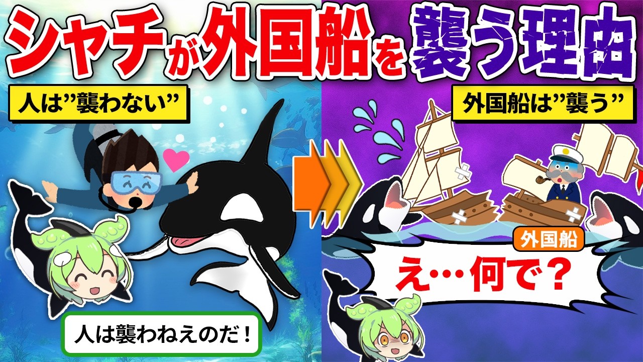 シャチが船を攻撃する本当の理由