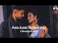 Pehle Kabhi Na Mera Haal Slowed Reverb Udit Narayan Bollywood Hindi Songs LoFi