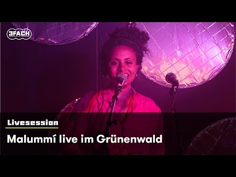 Malummi live im Grünenwald