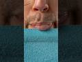 Play Video Thumbnail