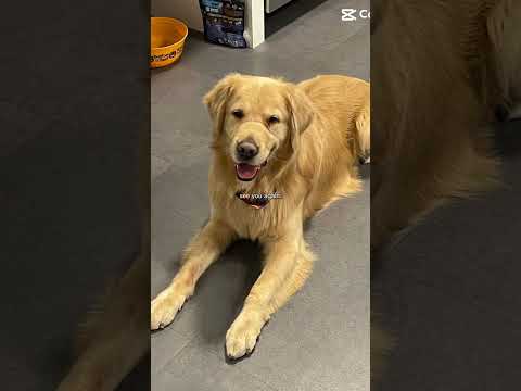 R.I.P Bronco 💔🕊️ #sad