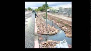 Tucson 25 years since Brad Lancaster Harvesting King started saving water by using stormwater on str