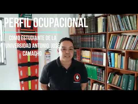 entrevista a profesional por parte de estudiantes uniaj 1 semestre sst