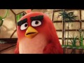 ANGRY BIRDS Movie Meet Terence
