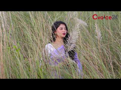 বিস্তৃত কাশবনের দেখা মিলছে নগরের অনন্যা আবাসিক এলাকায়