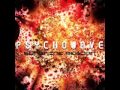 Psychowave -- Sunshine Reborn PSYTRANCE 2011 ...