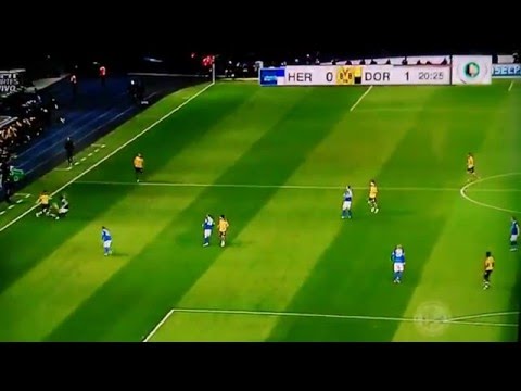 Gonzalo Castro Goal vs Hertha BSC 1-0 4/20/16