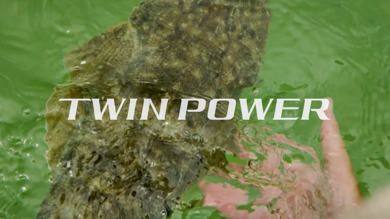 Shimano 24 Twinpower FE Spin Reels video thumbnail