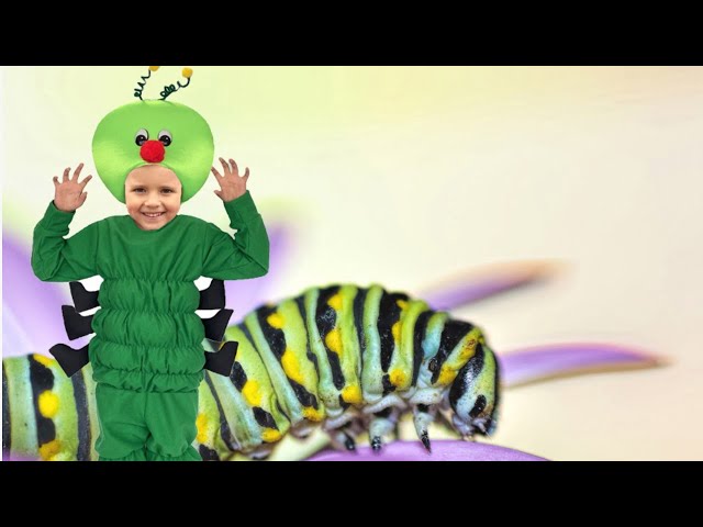 Vídeo relacionado con Fun Shack Disfraz Oruga Niña, Disfraces Orugas Niño, Traje Bicho Niño, Disfraces Gusano, Disfraz Carnaval Niños Halloween - L