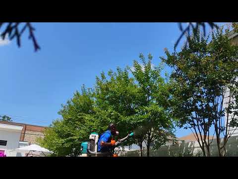 Targeting the Mosquitoes & Ticks in Marlboro, NJ