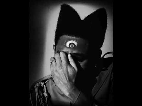 NOID, BUT YOU FEEL SOMEONE'S KEEPING WATCH [Alt Intro/Outro + Extended Bridge + OG Pitch]