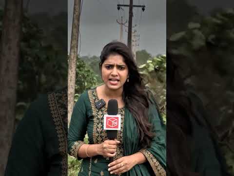 लू,और आंधी-बारिश ⚠️IMD Alert Today ⚡Weather Update 🌩️मौसम अलर्ट ⚠️Heatwave Alert🔴Today Weather⚠️IMD