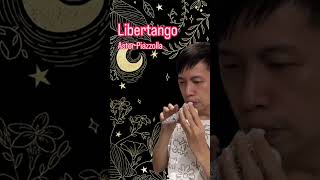 Download lagu Libertango - Astor Piazzolla (Ocarina Cover by Allez Ocarina) - With Sound Effect & Edited mp3