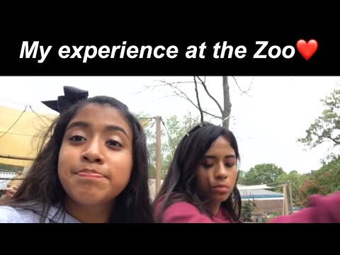 Vlog #1 (My Experience at the Zoo‼️🐒)