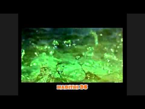 Kush ia largon besimtarit një brengë,,, / Hadithi 36