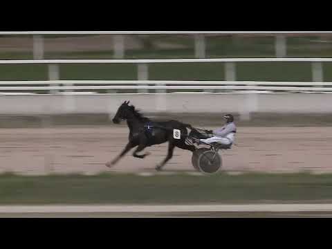 2023.04.01. 03. futam - AMATŐRVERSENY HENDIKEP