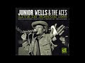 Junior Wells & The Aces – Got My Mojo Workin' / Theme