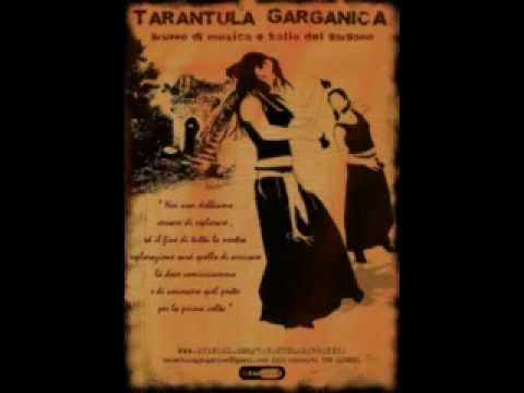 Tarantula Garganica - Rodianella