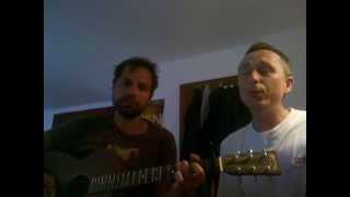 (COVER) Rogue Wave - All That Remains (acoustic)