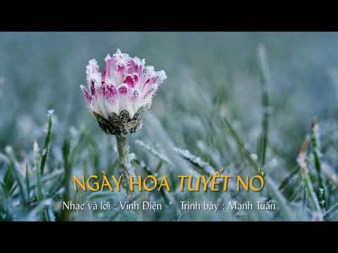 Ngày hoa tuyết nở Sheet - Mạnh Tuấn