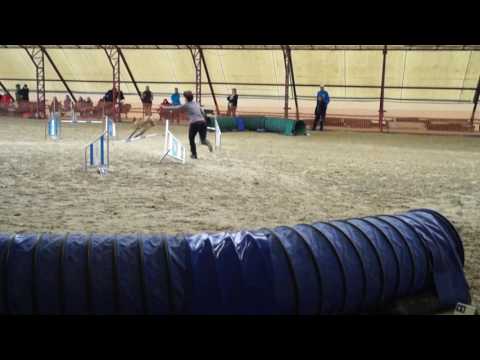 Mushu Kraft Kupa A0 1 futam 3. hely