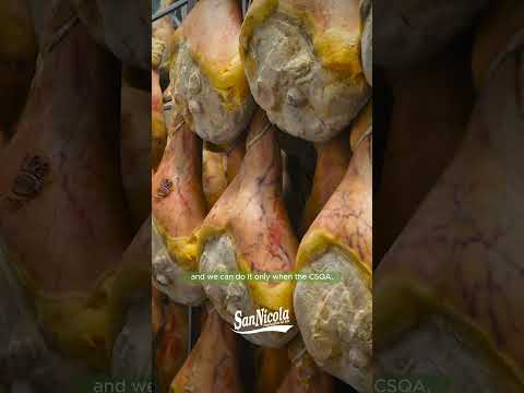 San Nicola Stories - The crown - (Episode 12) ENG