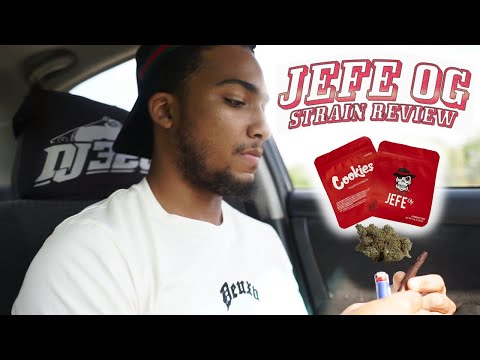 Shy Glizzy 1st DC Rapper to have his own strain ~ Jefe OG~ Recap @GlizzyGang