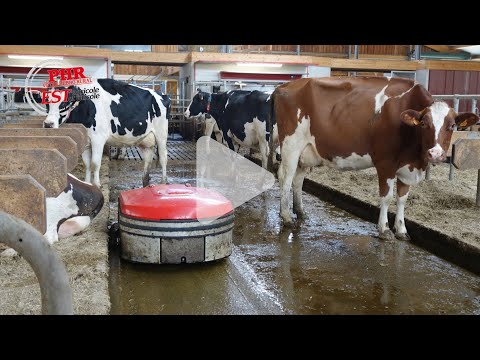 Le Gaec Dintinger utilise le robot aspirateur de lisier Lely Discovery Collector 120