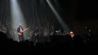 Paul Carrack love will keep us alive