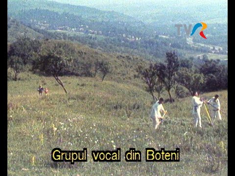 Pe meleaguri muscelene cu Gavril Prunoiu și alții