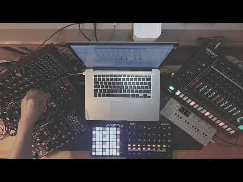 Fall || Live jam with Model D, OP-1, Subharmonicon and friends