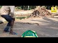 பாம்பு கடித்தபின் வாவா சுரேஷ் செய்தது என்ன ? Snake Master Vava Suresh Exclusive Full Video