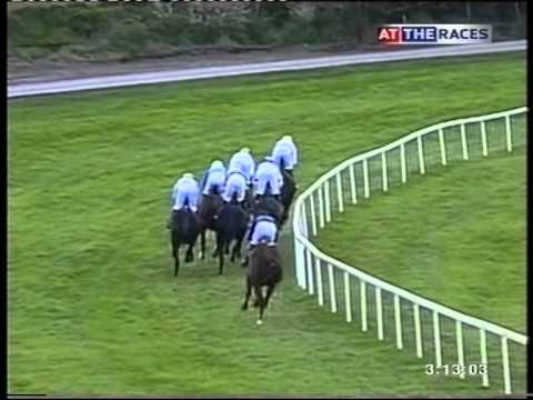 2005 Kerrygold Champion Chase