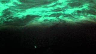 Maná, Vuela Libre Paloma