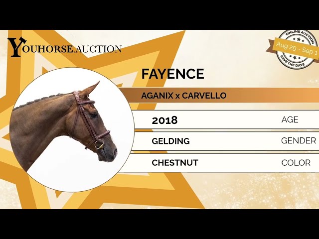 Fayence showvideo