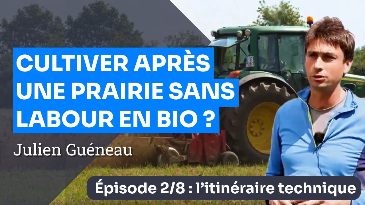 Épisode 2 : L'itinéraire technique - Implanter une culture en Bio sans labour après prairie