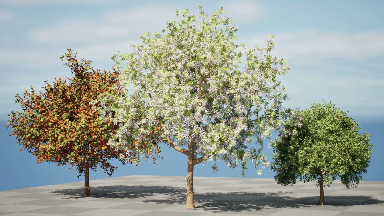 Prunus serotina trees 3D Model