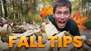 Ultimate Lawn Care Checklist for Fall - Do's and Don'ts