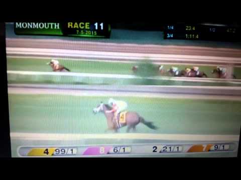 2015 United Nations Stakes
