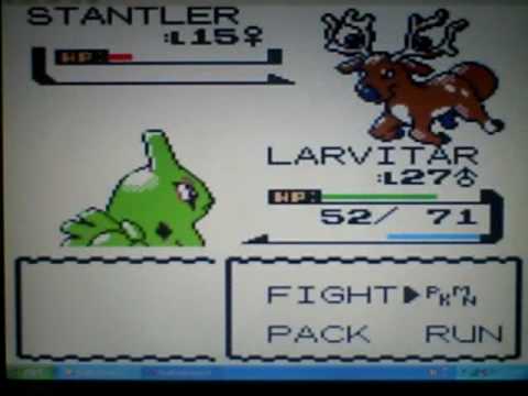 Random Larvitar Training!!!   WITH POKEDUDE1998!