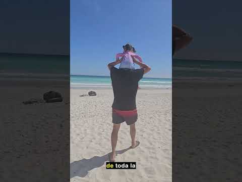 La bebe sin miedo a las iguanas | Tortuga Bay Galapagos