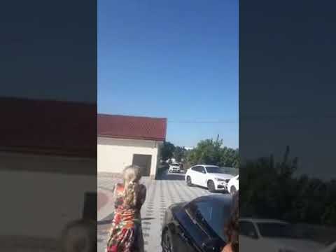 Alex Kojo PRIMIREA PENTRU NUTULICA CAMATARU 2019 NEW (ELIBERARE NUTULICA)