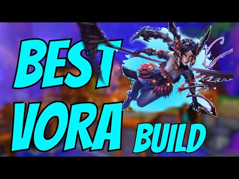 THE BEST VORA BUILD (PALDINS) COMBOS AND BASIC TIPS!