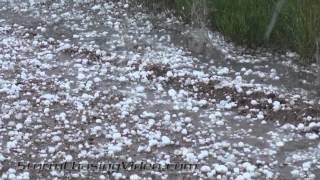 preview picture of video '6/21/2012 Northeast, CO Landspout and Golfball Hail'