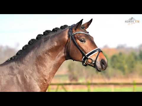 Macchiato v.Morricone I x Just Perfect x Donnerhall